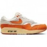 Chaussures Nike Air Max 1 pour femmes