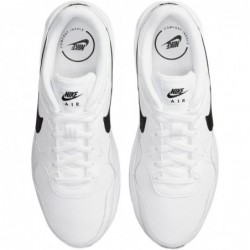 Baskets Nike pour hommes