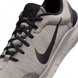 Chaussures de course sur route Nike Flex Experience Run 12 pour homme (DV0740-001, minerai de fer clair/étain plat/noir)