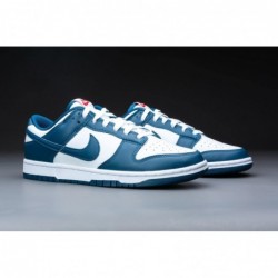 Nike Dunk Low Retro pour homme DD1391 400