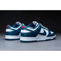 Nike Dunk Low Retro pour homme DD1391 400